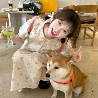 爱里行间